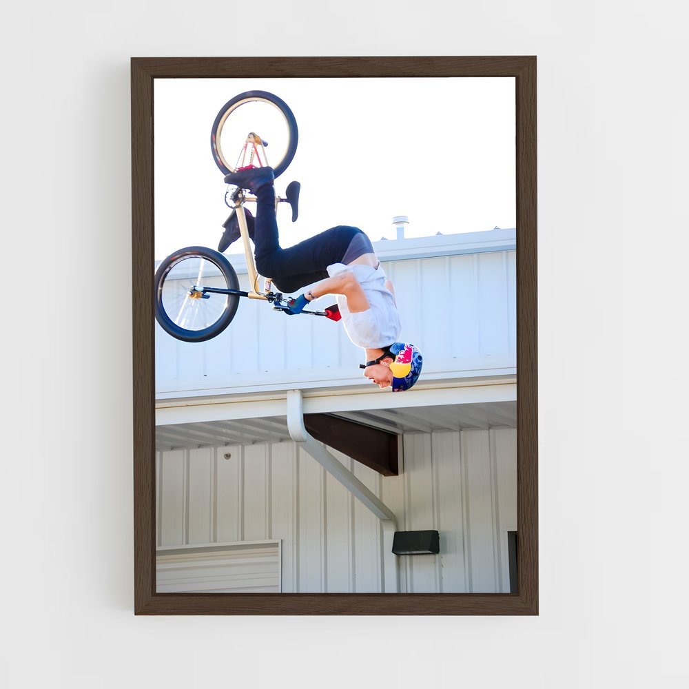 Poster Freestyle BMX (vue 5)